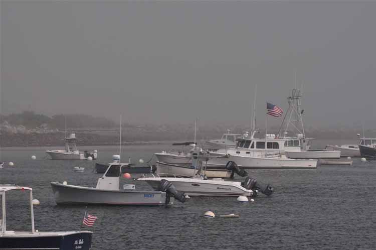 fog at harbor